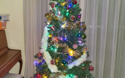 MAG KERSFEESONTNUGTERING JOU OORWELDIG!