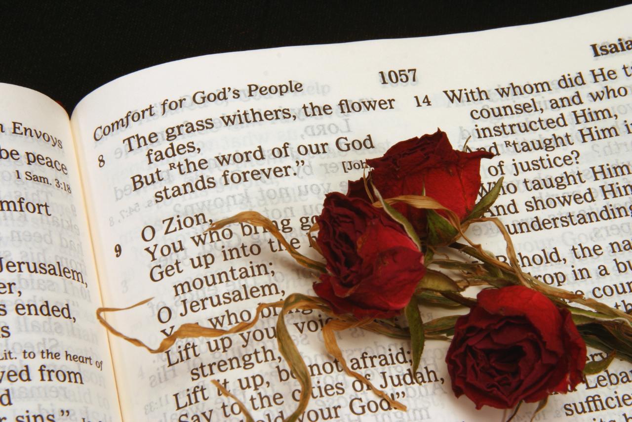 Lulu van Aswegen PRIVACY POLICY