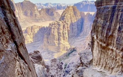 THE TRIUMPH OF AMANI AYYAL