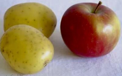 APPELKARRETJIES EN AARTAPPELKISSIES