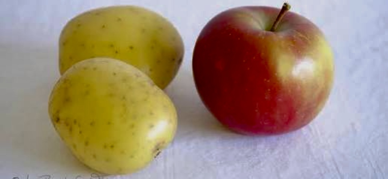 APPELKARRETJIES EN AARTAPPELKISSIES