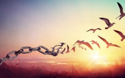 THE PRICELESS VALUE OF FREEDOM