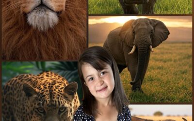 BIG FIVE LIFE LESSONS