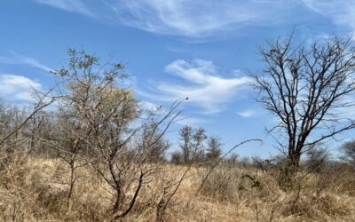 OBSERVATION AND EXPECTATION