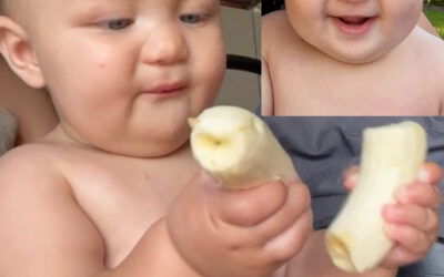 TYDELIKE TENTWONINGS EN WONDERWERKE