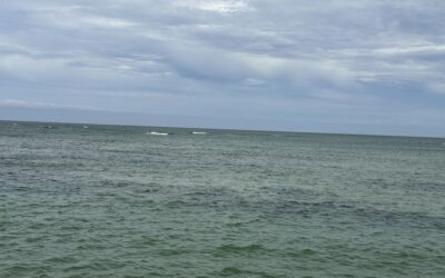 DIE ENIGSTE ANTWOORD